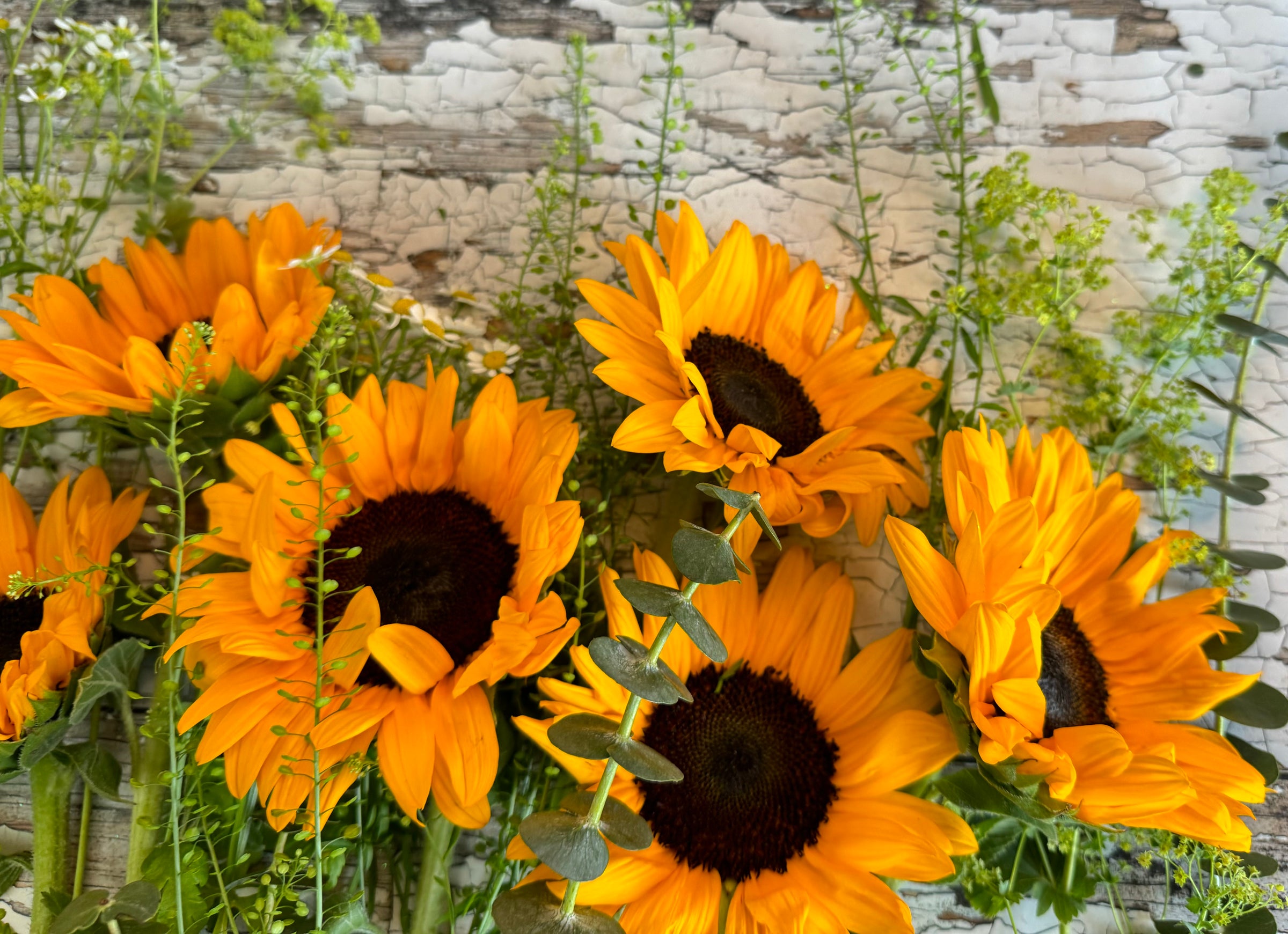 Flower Delivery Wigan Flowers by Hills Florist, Orrell, Wigan