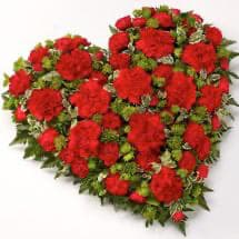 Red Carnation Heart